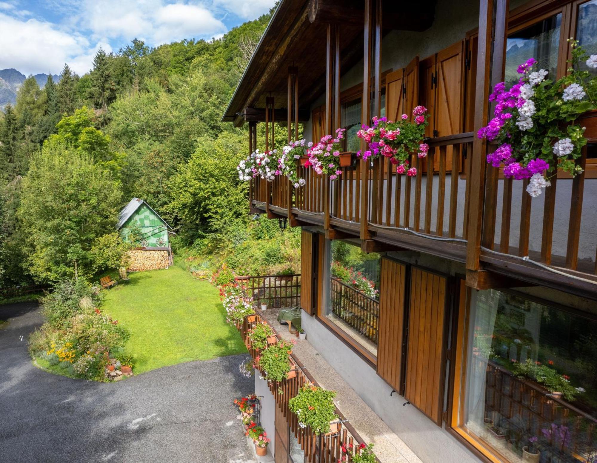 La Finestra Sul Monviso Apartment Crissolo Ngoại thất bức ảnh